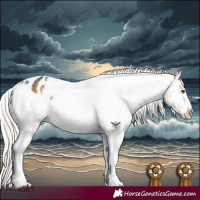 Horse Color:Silver Buckskin Mushroom Tobiano Varnish 
