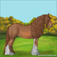 Horse Color:Chestnut Tobiano