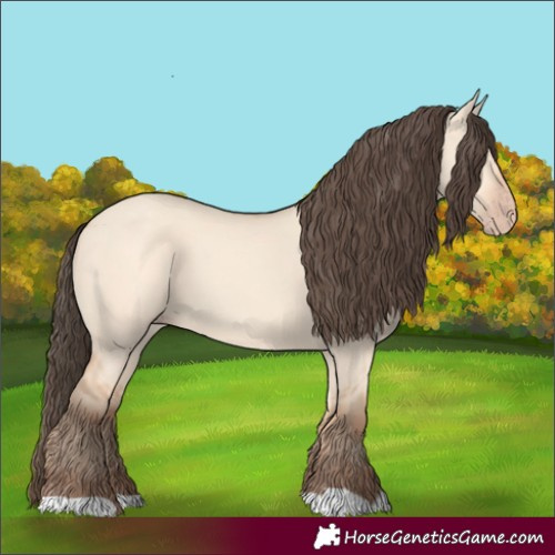 Horse Color:Amber Champagne Dun 