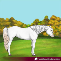 Horse Color:Chestnut Tobiano Snowflake Varnish
