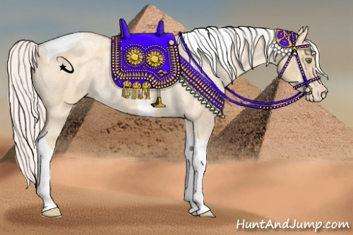 Horse Color:Silver Amber Champagne Roan Dun Tobiano Varnish Rabicano 