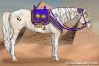 Horse Color:Silver Amber Champagne Roan Dun Tobiano Varnish Rabicano 