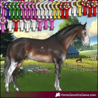 Horse Color:Brown Sabino