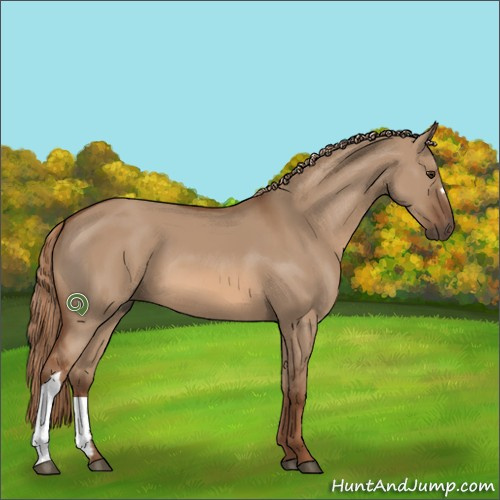 Horse Color:Red Dun