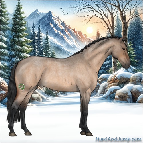 Horse Color:Bay Roan Dun 