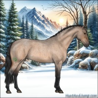 Horse Color:Bay Roan Dun 