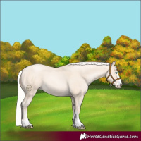 Horse Color:Silver Amber Cream Champagne Pearl 
