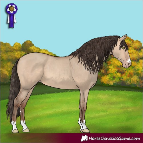 Horse Color:Amber Champagne Dun 