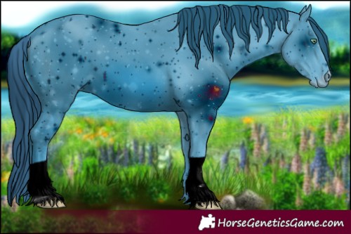 Horse Color:ERROR: UNKNOWN ANOMALY