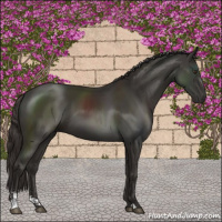 Horse Color:Liver Chestnut Sabino 