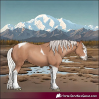 Horse Color:Silver Classic Champagne Splash Tobiano