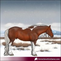 Horse Color:Silver Brown Tobiano Rabicano