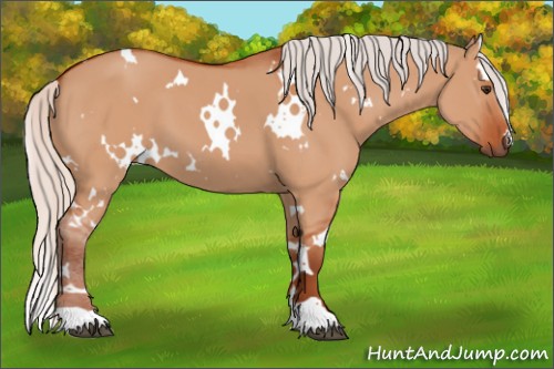 Horse Color:White Spotted Silver Brown Dun