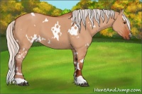 Horse Color:White Spotted Silver Brown Dun 