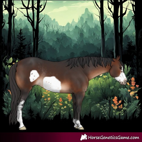 Horse Color:Brown Sabino Frame Rabicano 