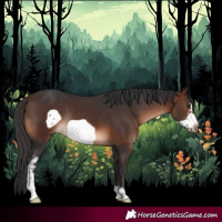Horse Color:Brown Sabino Frame Rabicano 