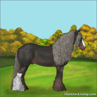 Horse Color:Liver Chestnut Mushroom 