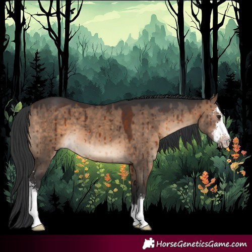 Horse Color:Brown Dun Sabino Brindle 