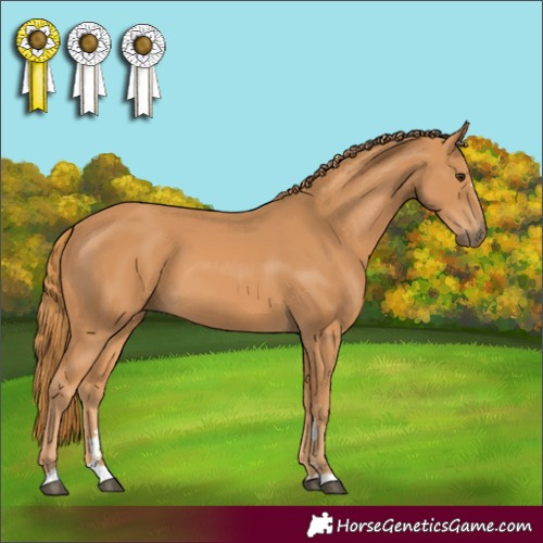 Horse Color:Chestnut 