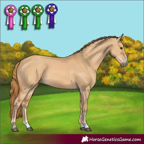 Horse Color:Red Dun 