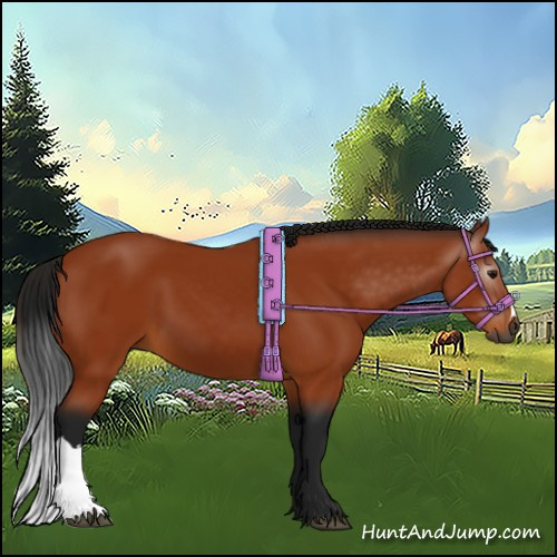 Horse Color:Gray Bay 