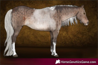 Horse Color:Silver Brown Dun Sabino Tobiano Rabicano Brindle 