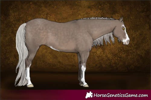 Horse Color:Silver Grullo Sabino 
