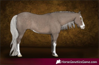 Horse Color:Silver Grullo Sabino 