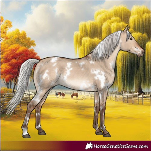 Horse Color:White Spotted Silver Brown Dun 