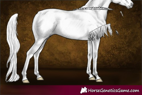 Horse Color:Gray White Spotted Silver Grullo Sabino 