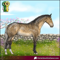 Horse Color:Silver Buckskin Dun Rabicano Brindle 