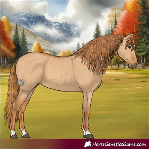 Horse Color:Red Dun