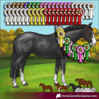 Horse Color:Black Sabino