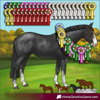 Horse Color:Black Sabino