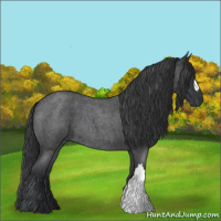 Horse Color:Blue Roan 