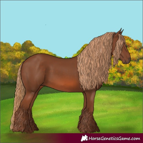 Horse Color:Chestnut 