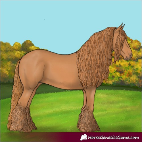 Horse Color:Chestnut 