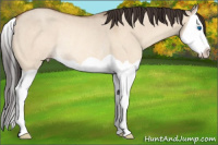 Horse Color:Sable Champagne Dun Splash Rabicano 
