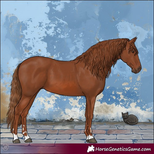 Horse Color:Chestnut 