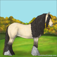 Horse Color:Buckskin Roan Dun Tobiano 