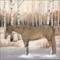 Horse Color:Chocolate Palomino Roan 