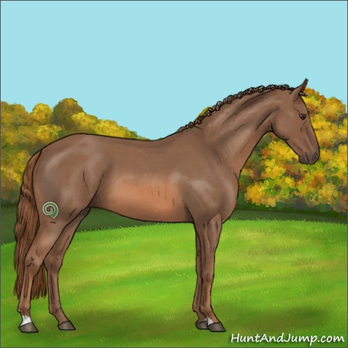 Horse Color:Red Roan 