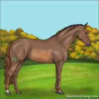 Horse Color:Red Roan 