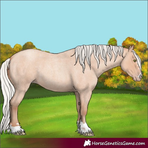 Horse Color:Silver Amber Champagne Roan