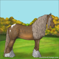 Horse Color:Chocolate Palomino Tobiano 