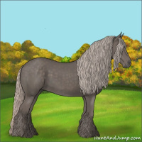 Horse Color:Silver Black 