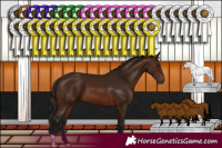 Horse Color:Gray Bay