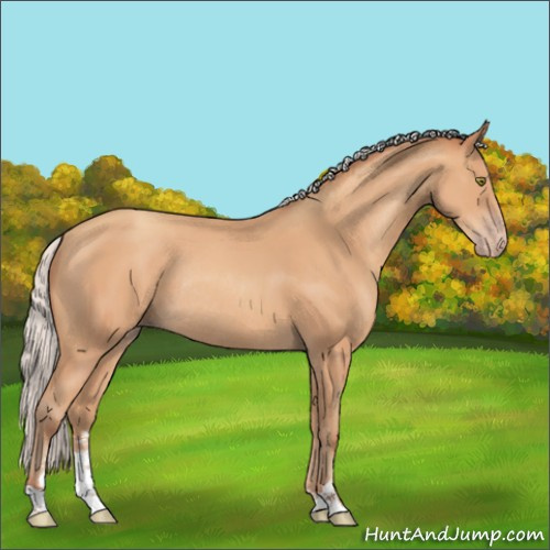Horse Color:Silver Amber Champagne Sabino Rabicano 
