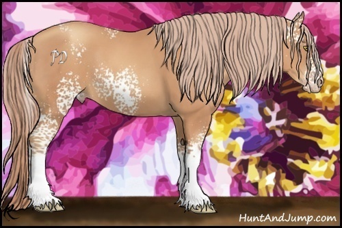 Horse Color:White Spotted Gold Champagne 
