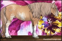 Horse Color:White Spotted Gold Champagne
